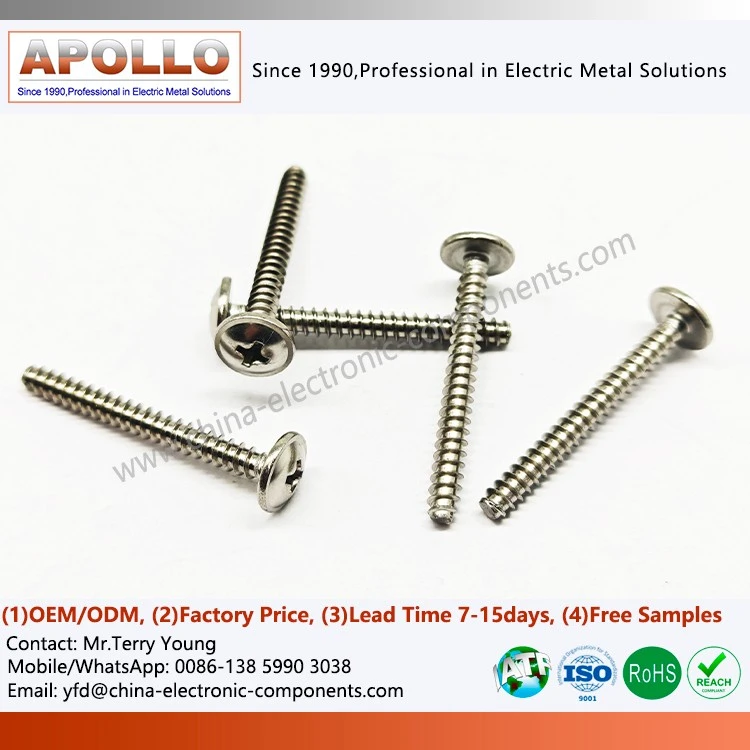 Auto-Tapping Screw factory