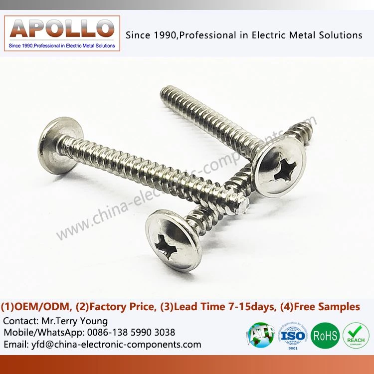 Auto-Tapping Screw
