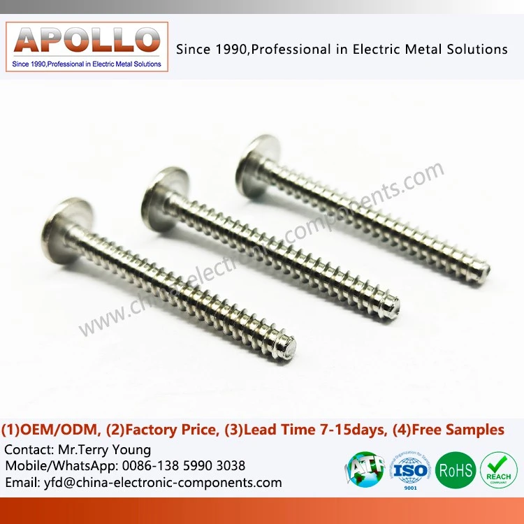 Self-Cutting Screw